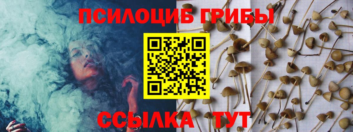 Ковров  Псилоцибиновые грибы мицелий  Вход с VPN 